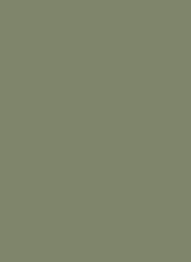 Montana GOLD Spray Color Manila Green 400ml Spray Can