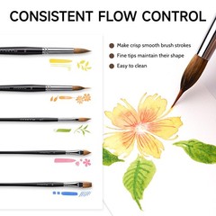 Watercolor Brush Set, 7pcs Professional Sable Paint Brushes with Extended Nee…