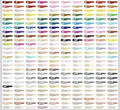 204 Colors Dual Tip Art Markers Set Alcohol Based Sketch Pens for Kids Adults