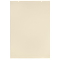 Jumbo Manila Tag Unruled Chart Paper, 36 x 24 Inches, 100 Sheets