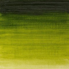 Winsor & Newton Winton Oil Color Paint, 37-ml Tube, Sap Green
