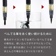 Elegant Medium Brush Pen with Click-Off Cap – Perfect for Creative Expression