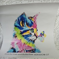 Paint By Numbers Cat With Butterfly On Nose Rainbow Colorful 40x50cm Home DIY