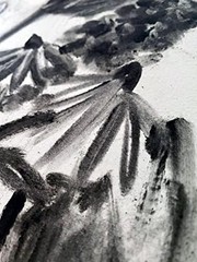 Premium Charcoal Powder for Drawing and Art 1 Count (Pack of 1), Black