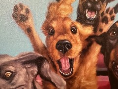 Funny Dogs Riding Roller Coaster Canvas Picture, Amusement Park, 20 L” x 16 W
