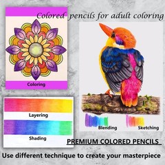 Premium Colored Pencils,Set of 120 Colors,Artists Soft Core with Vibrant Colo…