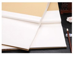 10Pc Ultra-Thin Ripe Xuan Rice Paper Ink Gongbi Painting Copy Calligraphy 云母蝉衣