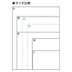 Maruman Premium Quality Drawing Pad and Book (SL-01)