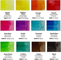 Mont Marte Watercolor Set Full Pan 12 Count (Pack of 1), 12 Basic Color