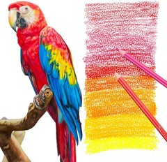 80 Colored Pencils Set for Adults Coloring 72 Colors Coloring Pencils