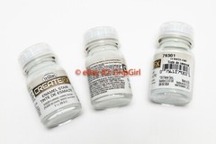 TESTORS CreateFX Model Paint Weathering Wash Enamel 79301 FX Winter White Stain