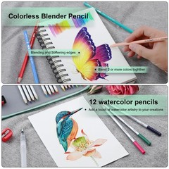 256 Colored Pencils Set for Adult ColoringSoft Core Pencils for Drawing Blend…
