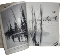 More by Frederick Garner Trees Drawing Art Vintage Softcover Book Foster Art