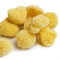 Jakar Natural Sea Sponge Fine & Course Texture Artist Synthetic Watercolour New