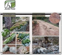 Vallejo LANDSCAPES OF WAR – THE GREATEST GUIDE – DIORAMAS: VOL.1