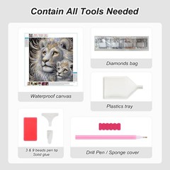 Aicomeon Lion Diamond Art Kits for Adults – 5D 12×12 inch, Multicolored