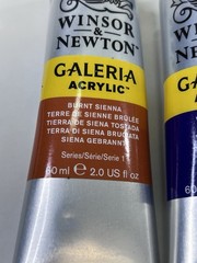Winsor & Newton Galeria Acrylic Paint Set of 5 Tubes 60 ml New