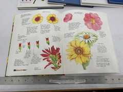 (8) Craft Books – Glass Painting, Pen/Ink Watercolor, Stencil, Flowers, Birds