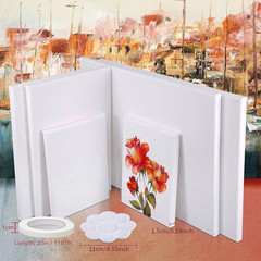 Canvases for Painting, 40X30, 30X20, 20X15, 8 Set Stretched White Canvas with Pe