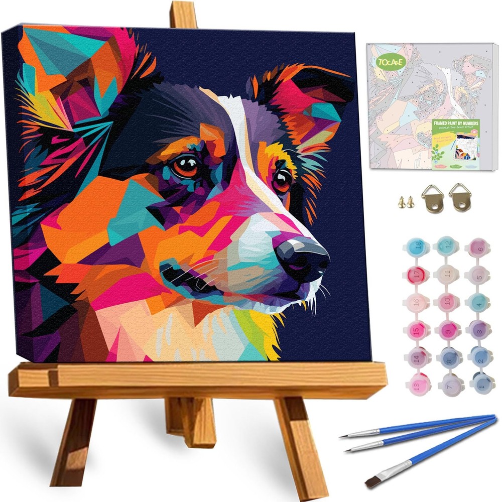 Framed Paint by Numbers Kit for Adults Beginners & Kids Ages 8-12,12x12inch Bord