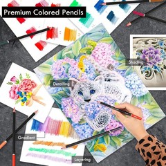 Vibrant 144-Piece Artist Drawing Set: Non-Toxic Colored Pencils & Accessories