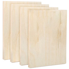 3/4 In. X 9 In. X 12 In. Birch Wood Unfinished Canvas Panels for Painting, Pouri