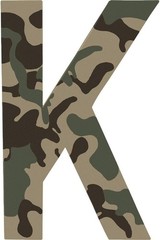 Krylon Camouflage Fusion Paint, Olive, 11 oz.