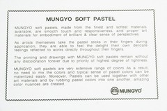 Soft Pastel 64 Color Set Square Chalk English Version
