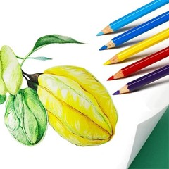 50 Pcs Colored Pencils Set 50 Vibrant Colors Art Drawing Sketching for Adults