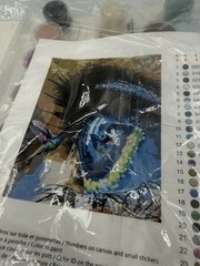 NEW Paint by Numbers Kit for Adults Beginner, Hummingbird 40x50cm/16×20”in