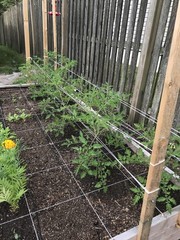 6300FT Tomato Tying Garden Twine