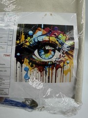 NEW Paint by Numbers Kit for Adults Beginner, Pop Art Eye 17.7×17.7in