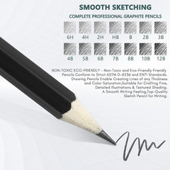 Drawing Pencils Set of 14 (B – 12B) Sketching Pencils for Drawing, Shading & …