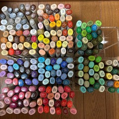 Copic Sketch Markers Set with Case Manga Anime Drawing Marker Pen Japan Used