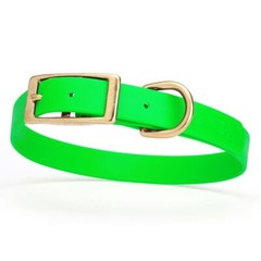 Dog Pet Collar with Brass Hardware Size M W 3/4” L 15” – 18” Tropical Green