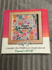 Elly and Grace Consider the Wildflowers Inspirational Diamond Art Kit 8×8 Frame