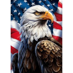 American Flag Diamond Painting Kits for Adults, Independence Day Eagle Diamond A