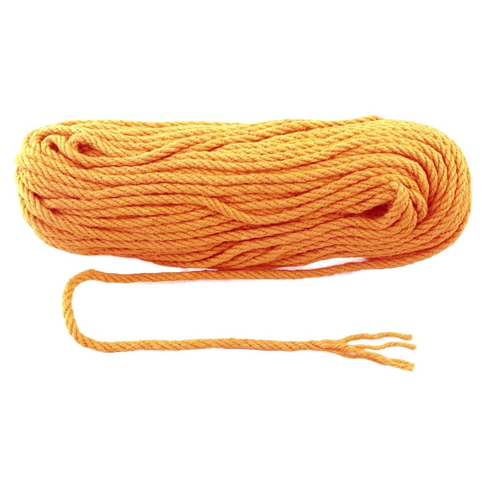 6mm x 200 Feet Orange Jute Rope, Twine for Gardening Tomato Climbing Plant Ti…