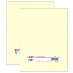 200 PCS Heavyweight Tagboard Manila 9×12 Inch 100 Sheets Per Pack