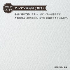 maruman loose leaf drawing paper leaf A4 (30 holes) plain (15 sheets) L1135 5-bo
