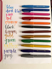 set of 12 pentel fude touch sign brush pens, multicolored