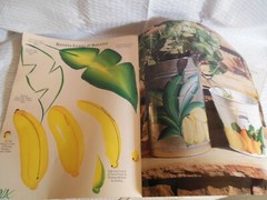 folk art painting one stroke technique Set of booklet and four (4) VHS teaching