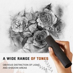 Gueevin 5 Pcs Jumbo Willow Charcoal Sticks 0.79-0.94 Inch Large Soft Willow C…
