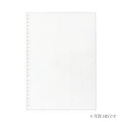 maruman loose leaf drawing paper leaf A4 (30 holes) plain (15 sheets) L1135 5-bo