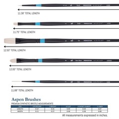 Princeton Aspen 6500 Series 5pc Professional Paint Brushes for Large, Black