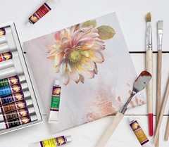 Oil Paint Set – 12 x 12ml Tubes – Lightfast – Heavy Body – Oil-based Vibrant
