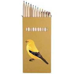 12 x ‘Yellow Bird’ Long 178mm Coloured Pencils / Pencil Set (PE00087787)
