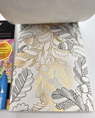 Spectrum Noir Colorista Marker Pads Lot 5×7 Foil Accent Coloring Books 2016