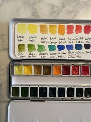 Winsor & Newton Professional Watercolor Curated Set Of 24 Half Pans