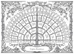 Palace Learning 3 Pack – Family Tree Chart To Fill In- 6 “18” x 24″, White